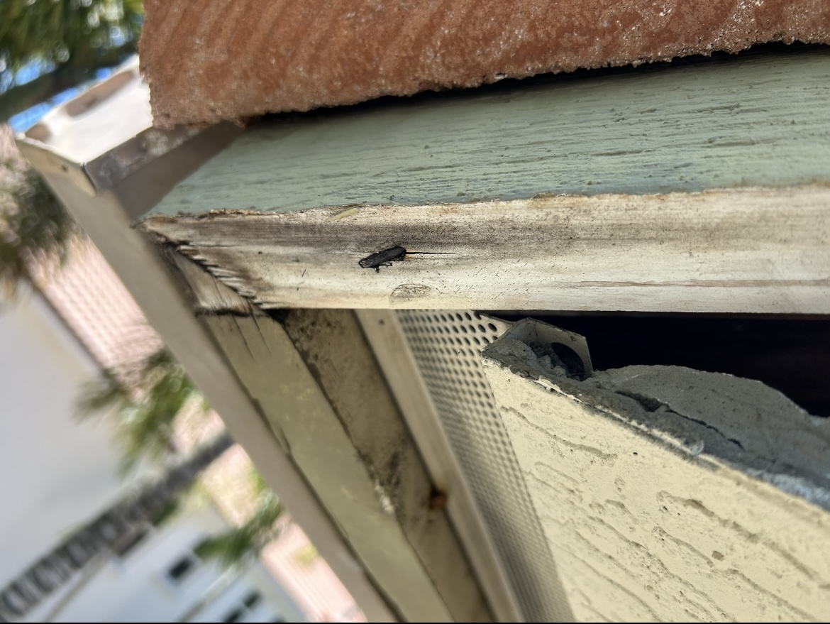 Repair A Leaking Ceiling - A Coast Roof LLC
