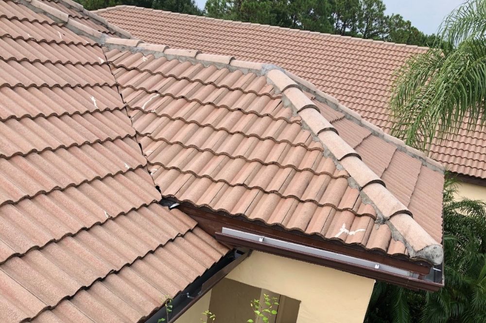 Everything Homeowners 
